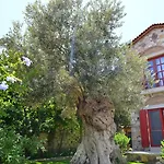 Hotel Zeytin 3*