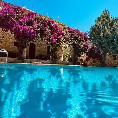 Zeytin Alaçatı
