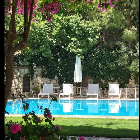 Zeytin Otel 3*