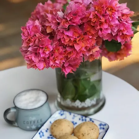 Zeytin Otel Alaçatı