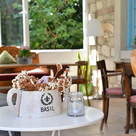 Hotell Zeytin 3*