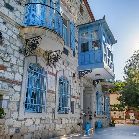 Zeytin Alaçatı