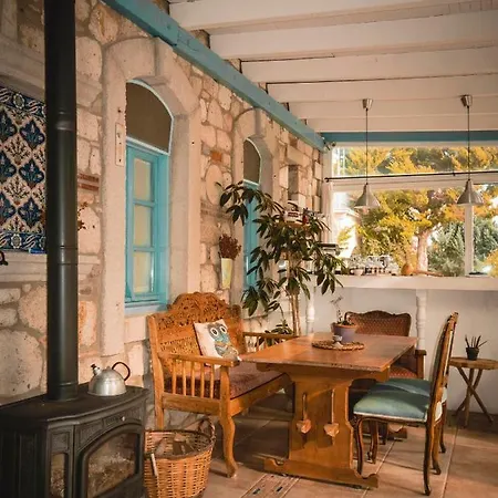 Zeytin Alaçatı