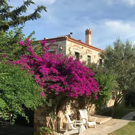 Zeytin Hotell