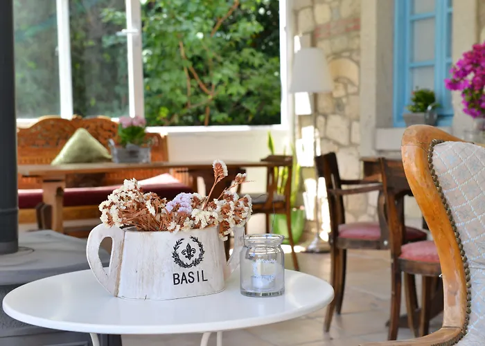 Hotel Zeytin 3*