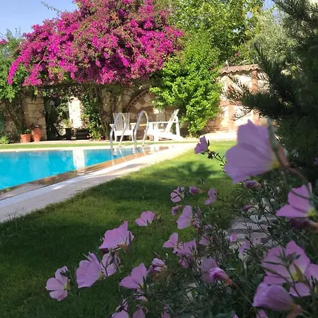 Hotel Zeytin