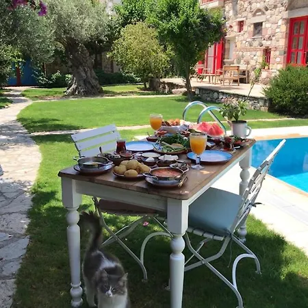 Zeytin 3* Alacati