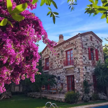Hotel Zeytin 3*