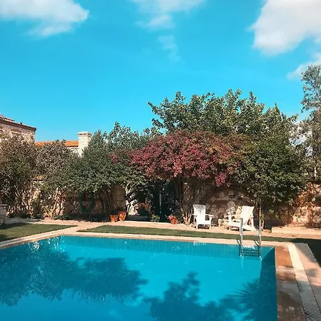 Hotel Zeytin 3*