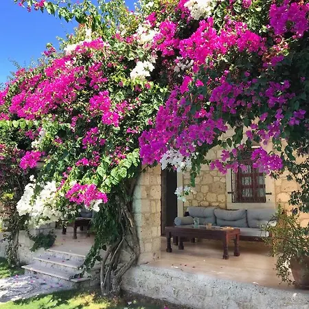 Zeytin Hotel
