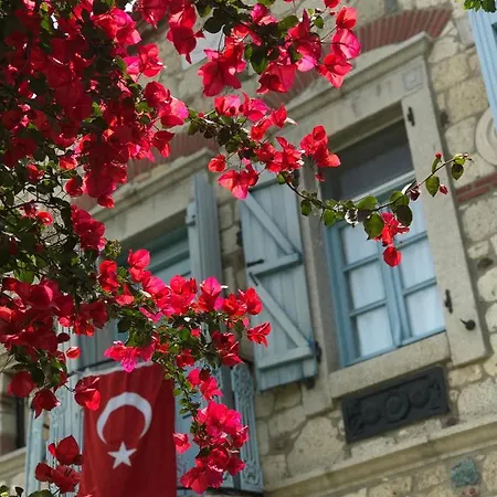 Hotel Zeytin 3*