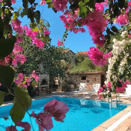 Zeytin 3* Alacati