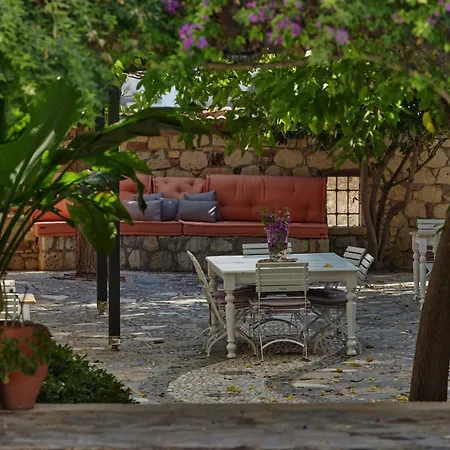 Zeytin Alacati
