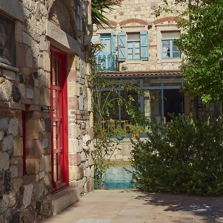 Zeytin