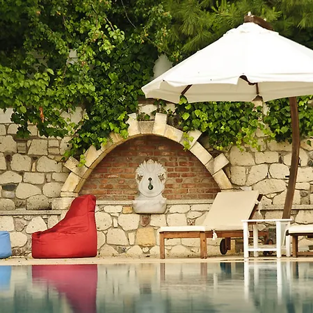 Zeytin Alacati