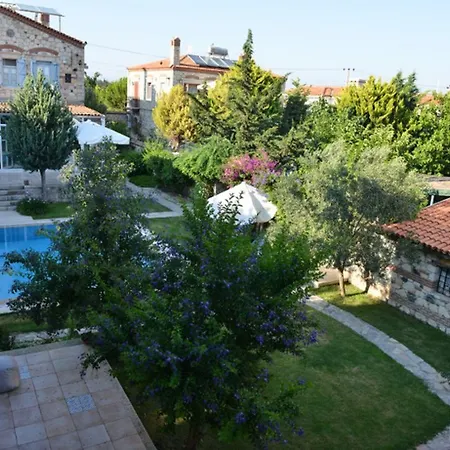 Zeytin Alacati