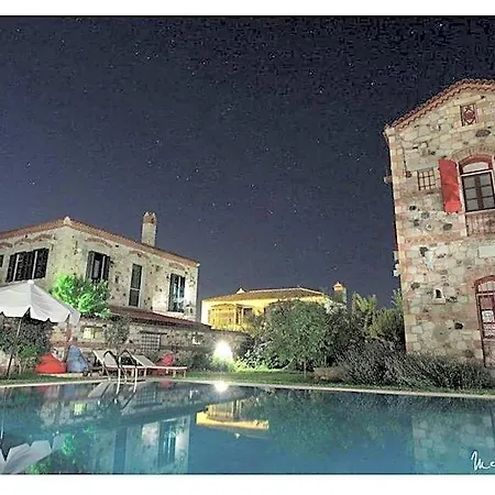 Zeytin 3*