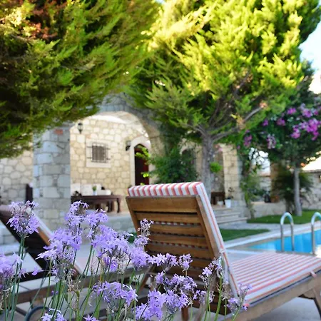 Hotel Zeytin