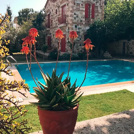 Zeytin Hotel 3*