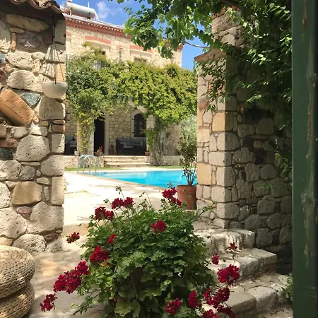 Zeytin Hotel 3*