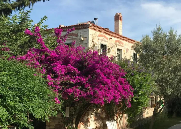 Zeytin Hotel